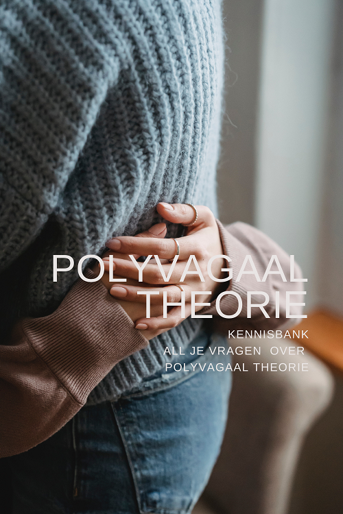 POLYVAGAALTHEORIE - BURN-OUT ACADEMY